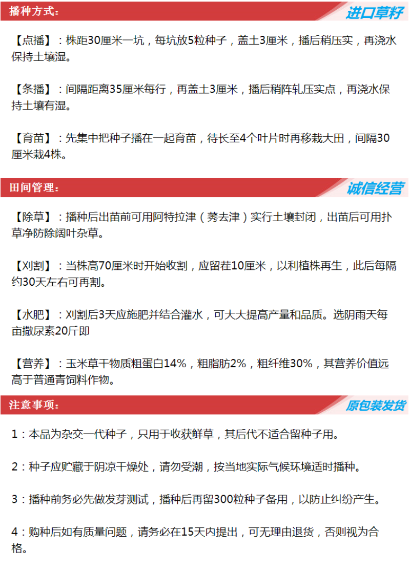 墨西哥玉米草种子畜禽猪牛羊鸡鸭鹅鱼兔牧草青贮饲用牧草