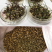 墨西哥玉米草种子畜禽猪牛羊鸡鸭鹅鱼兔牧草青贮饲用牧草