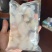 海蜇海蜇头325g电商微商社区酒店食材，厂家直发