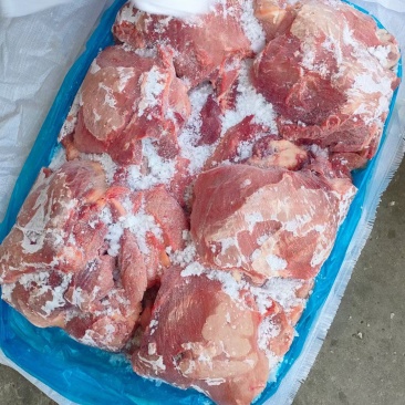 母猪二四号肉现货货源充足优质产品实拍图全国可供