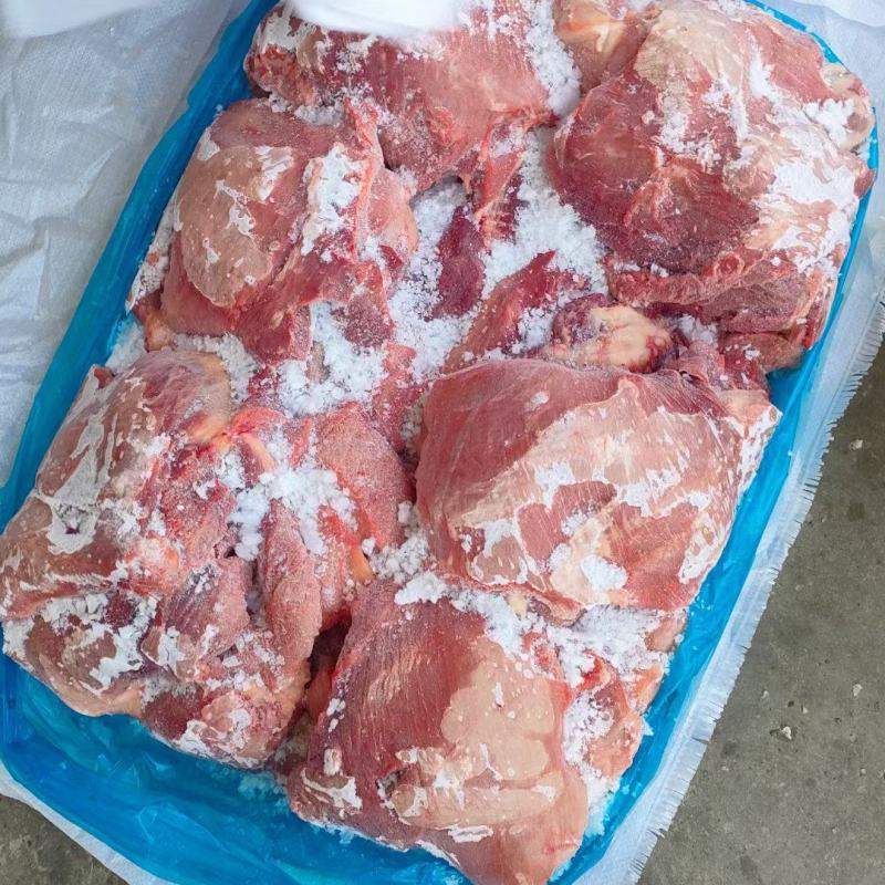 母猪二四号肉现货货源充足优质产品实拍图全国可供
