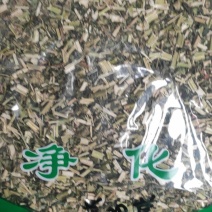 益母草干货益母草坤草中药材干净无杂质欢迎选购