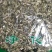 益母草干货益母草坤草中药材欢迎选购