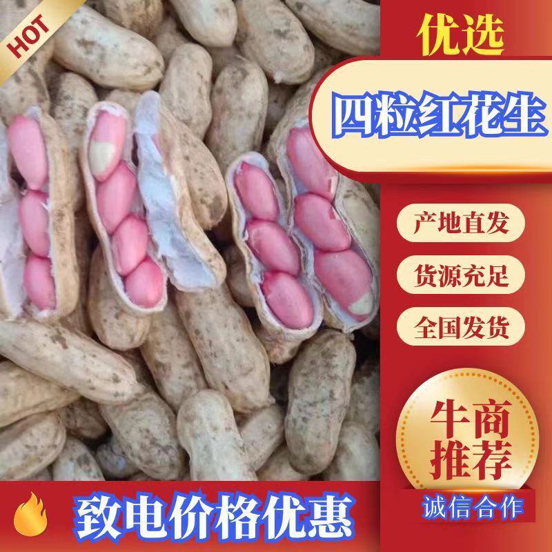 花生，四粒红鲜花生，大白鲨，精选过筛，果粒饱满，供应商超