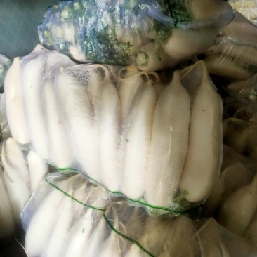 水洗白萝卜沙地种植质量特别好
