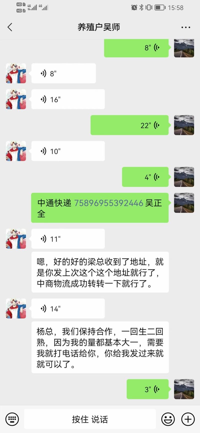 甲壳虫产卵
