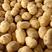 甘肃精品土豆大量供应，有白心，黄心，货源充足需要的客户来