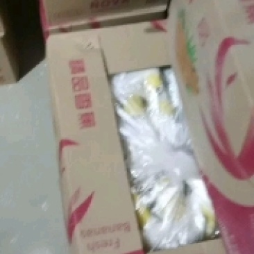 海南精品香蕉
