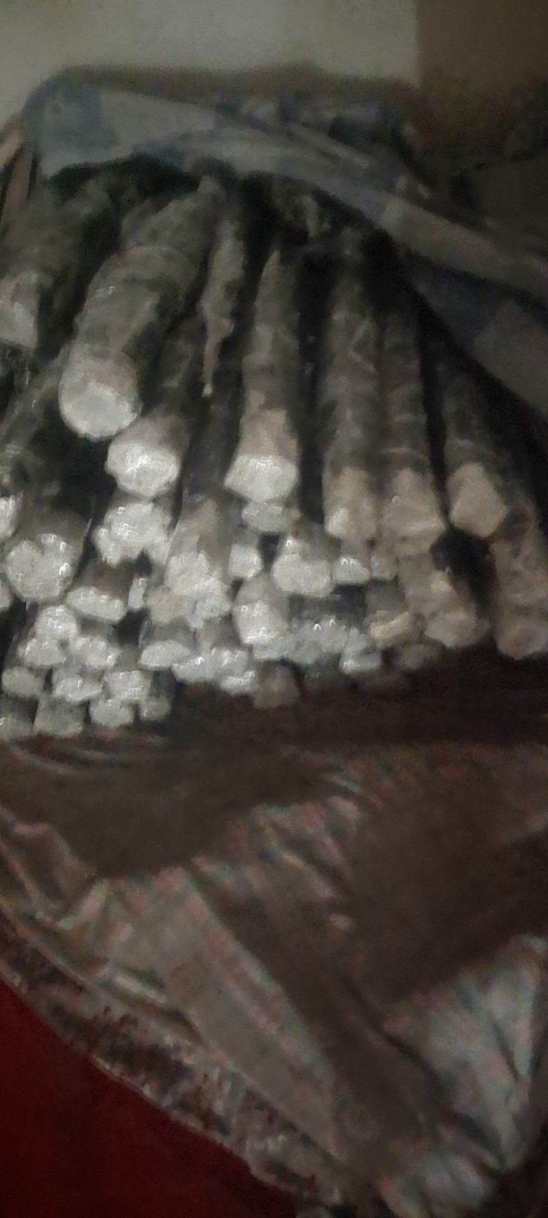 早熟爱媛46号(阿密哒)柑橘大果型成熟期10月中下旬。