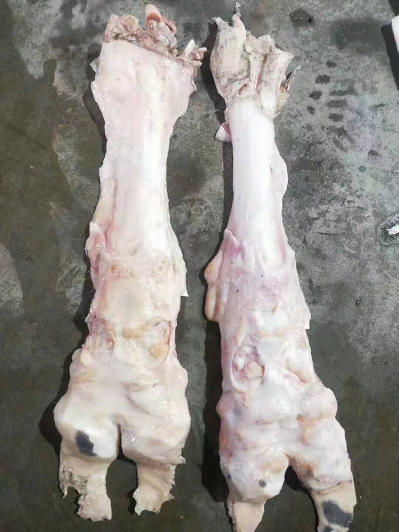 牛蹄筋，国产纯干牛蹄主筋，干净无毛。出成率高。不包邮