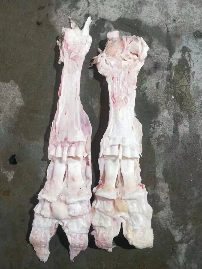 牛蹄筋，国产纯干牛蹄主筋，干净无毛。出成率高。不包邮