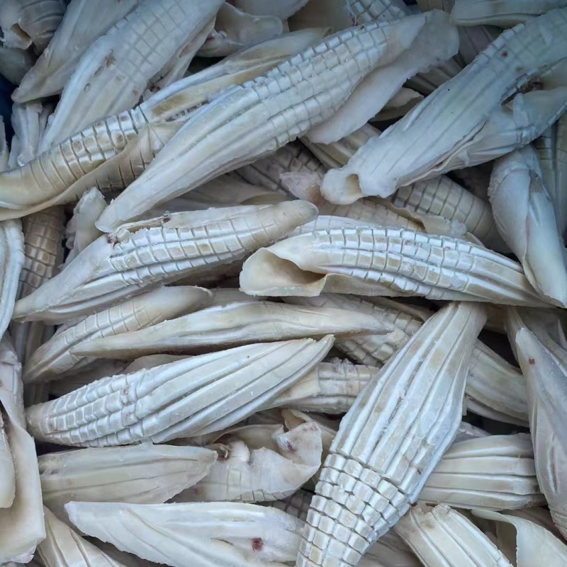 鱿鱼花尤鱼火箭鱿鱼花火锅食材捞汁食材鱿鱼尤鱼章鱼鱿鱼丝