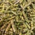 霍山石斛龙头凤尾胶质好量大优惠