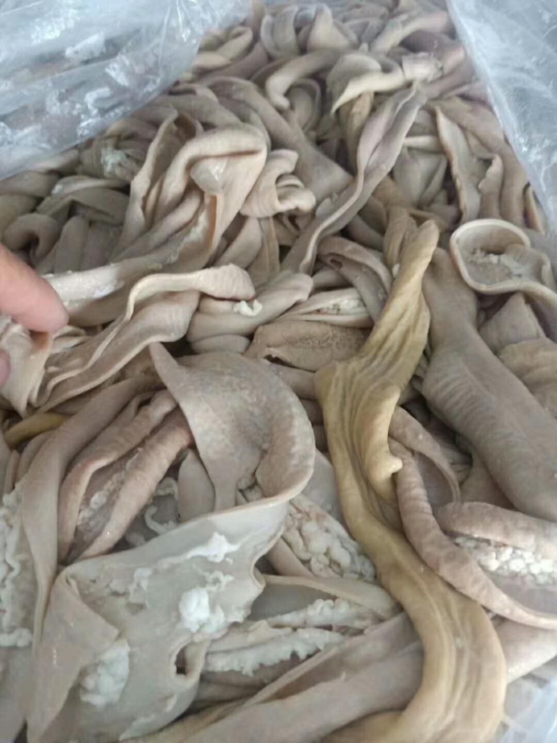 精品牛小肠，山东厂家，质量保证量大价优，欢迎致电，不包邮