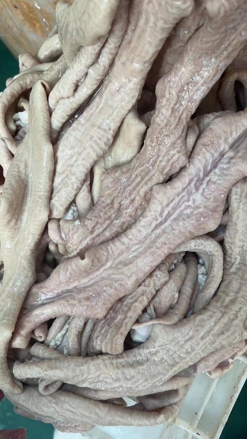 精品牛小肠，山东厂家，质量保证量大价优，欢迎致电，不包邮