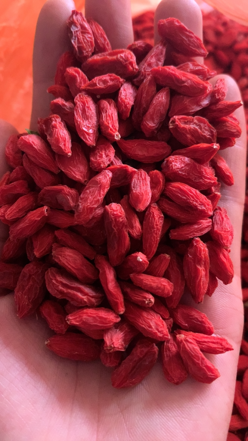 宁夏七号头茬枸杞，中宁特大枸杞，纯碱自然晾晒