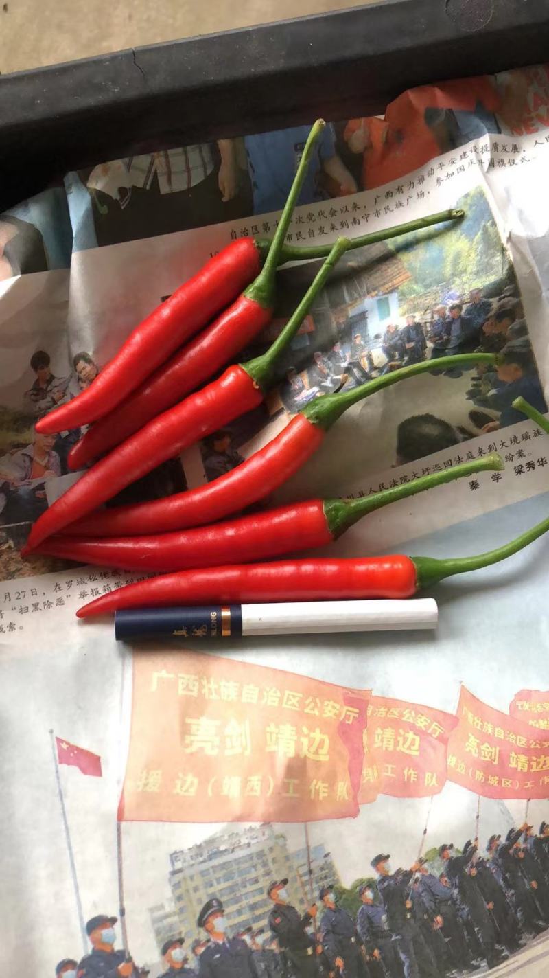 小米椒