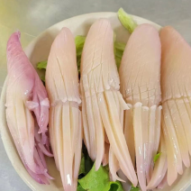 火箭鱿鱼牛角花鱿鱼花冷冻新鲜鱿鱼须铁板烧烤火锅食材海鲜