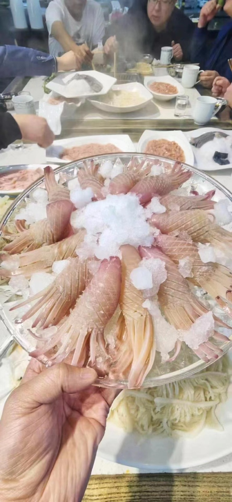 火箭鱿鱼牛角花鱿鱼花冷冻新鲜鱿鱼须铁板烧烤火锅食材海鲜