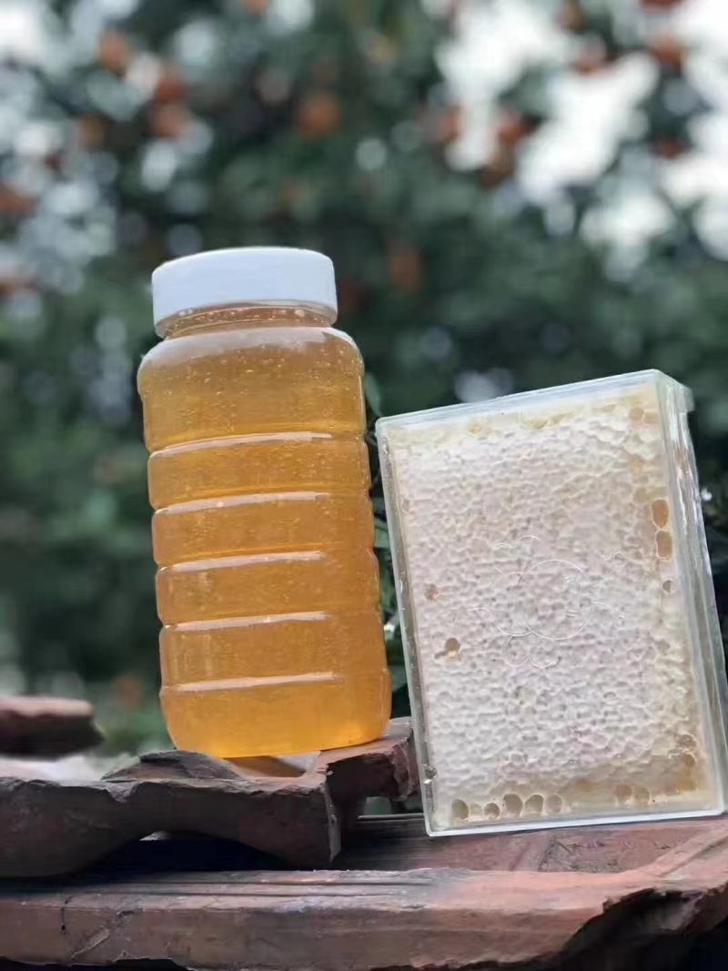 土蜂蜜中华蜂蜜产地直发一手货源品质保证来电洽谈合作