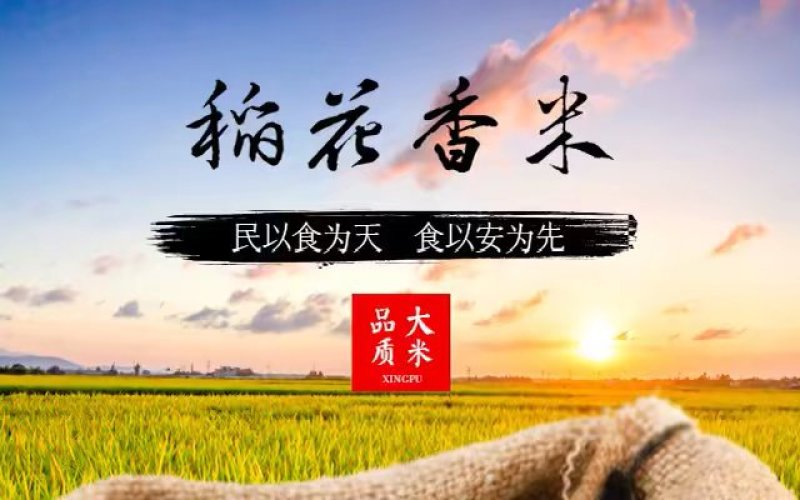 自家种植稻花香大米保纯保真不抛光不打蜡