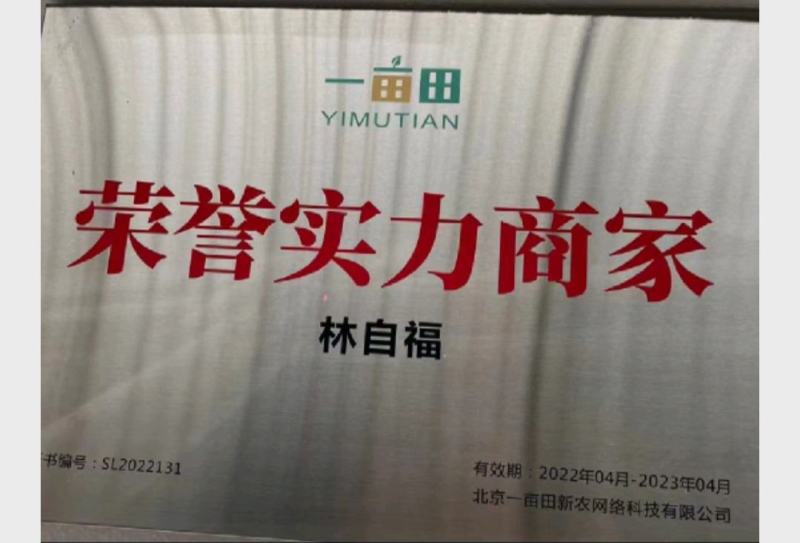 福建蚝精品黄金三倍体生蚝全规格产地直供向全国发货70斤