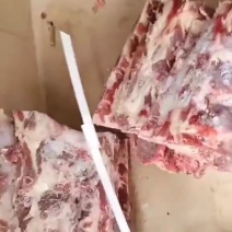 多肉背肩骨质量好价格低