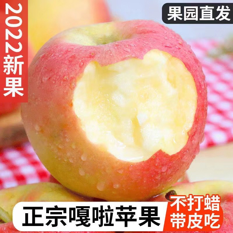 四川凉山盐源县红嘎拉苹果。现已上市。有需要的老板请与我联