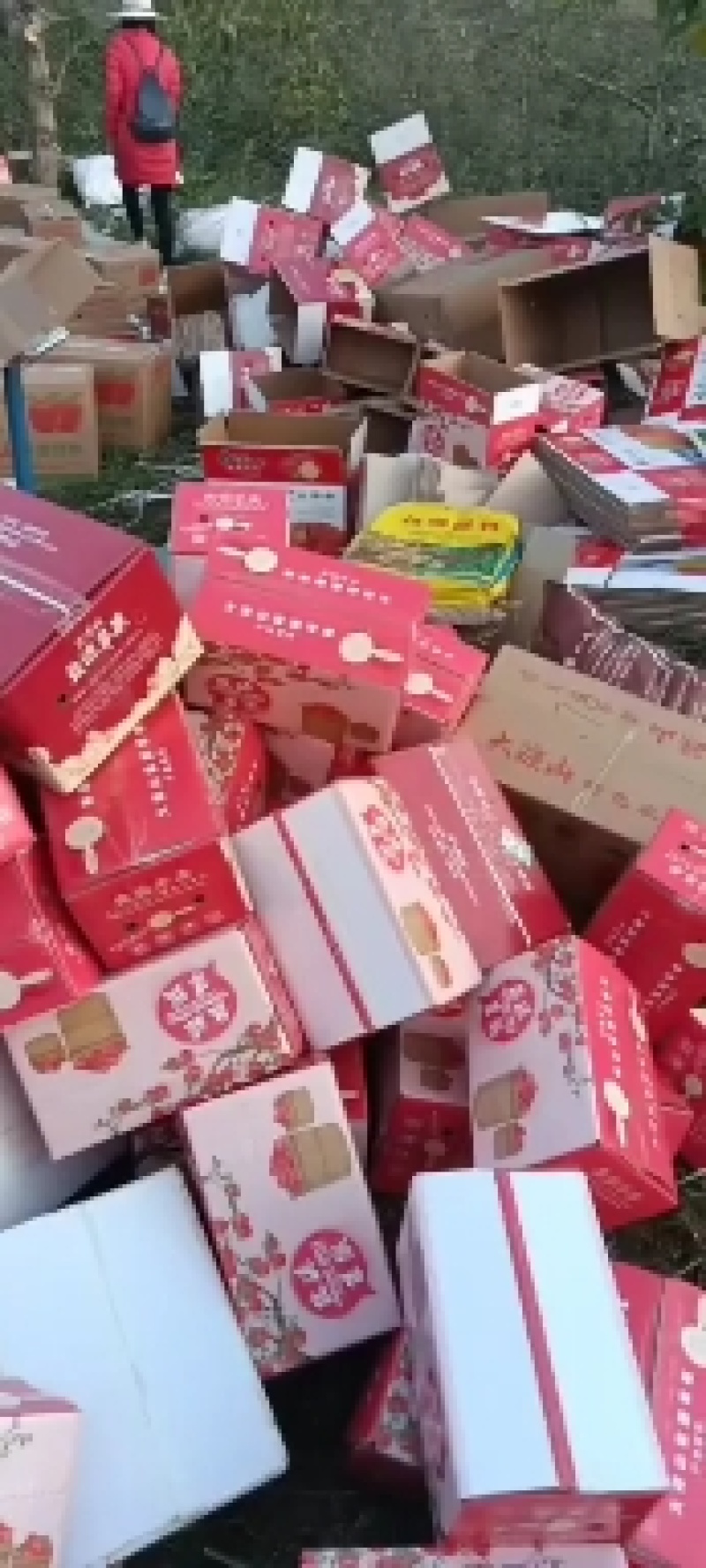 四川凉山盐源县红嘎拉苹果。现已上市。有需要的老板请与我联