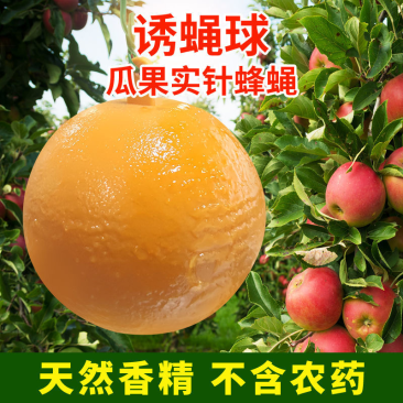 诱蝇球柑橘大小实蝇诱捕球瓜果树针锋诱虫球诱捕器粘果蝇球