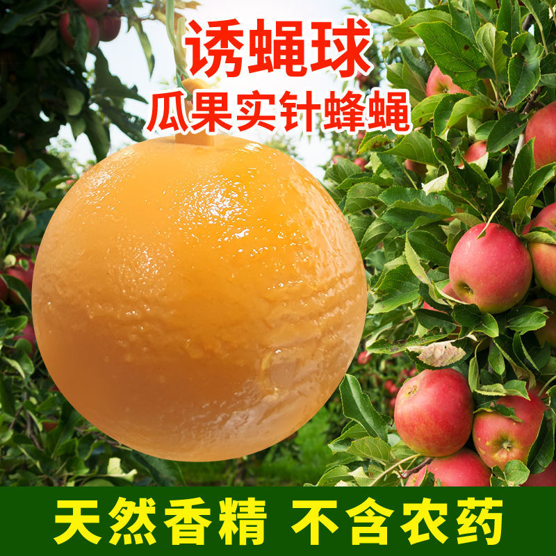 诱蝇球柑橘大小实蝇诱捕球瓜果树针锋诱虫球诱捕器粘果蝇球