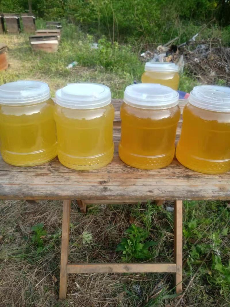 土蜂蜜，百花蜜，槐花蜜！农家自农家养蜜！产品直发，量大从