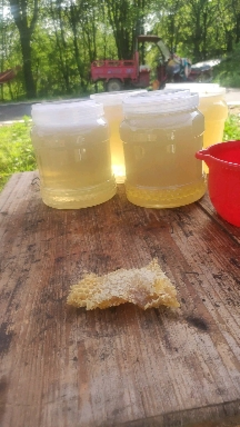土蜂蜜，百花蜜，槐花蜜！农家自农家养蜜！产品直发，量大从