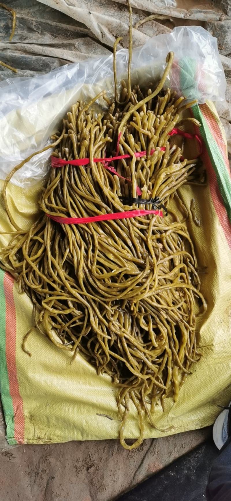腌制豆角