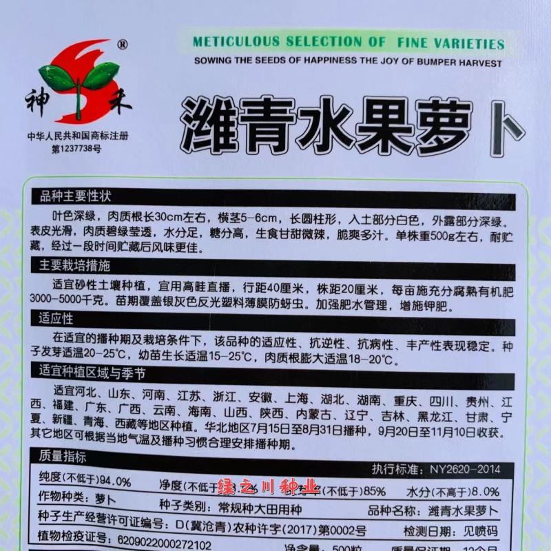 潍县青水果萝卜种子小包装家庭种植青萝卜种籽甜脆微辣秋