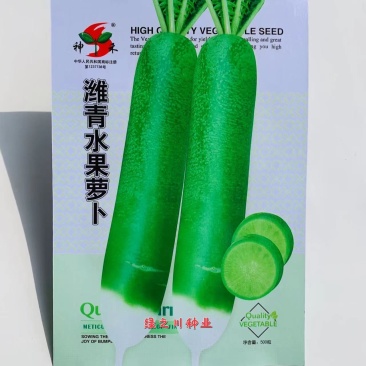 潍县青水果萝卜种子小包装家庭种植青萝卜种籽甜脆微辣秋