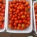 西红柿番茄🍅大量供货