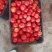 西红柿番茄🍅大量供货