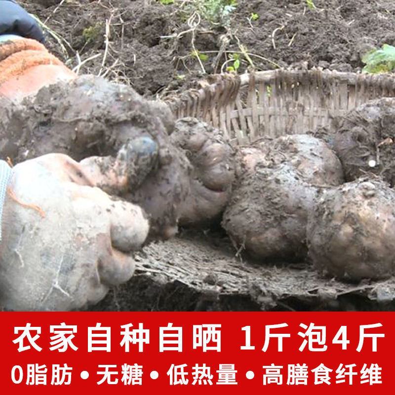 湖北特产自晒魔芋干干货魔芋丝高纤维素食代餐无糖低脂魔芋爽