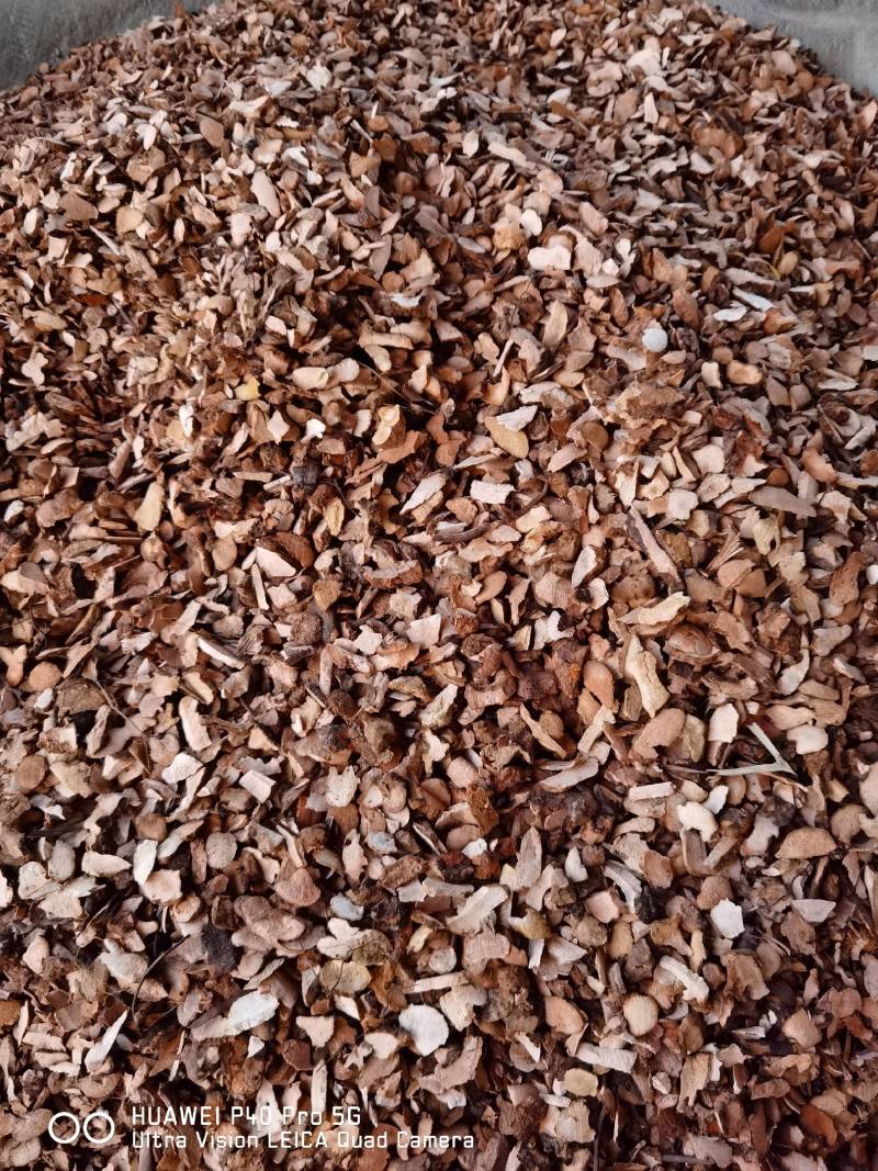 土茯苓碎片煲土茯苓糕更实惠