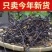 今年新货云南高山蕨菜野蕨菜龙爪菜抱拳菜山野菜晒干蕨菜干