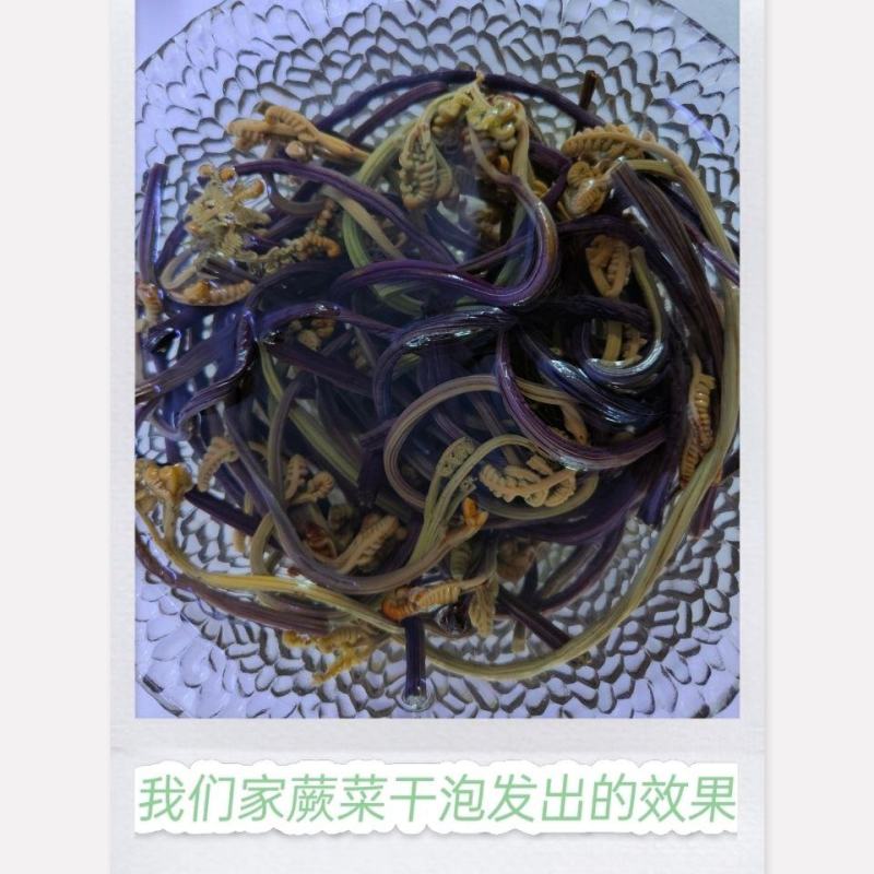 今年新货云南高山蕨菜野蕨菜龙爪菜抱拳菜山野菜晒干蕨菜干