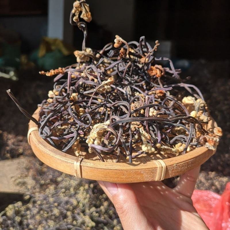 今年新货云南高山蕨菜野蕨菜龙爪菜抱拳菜山野菜晒干蕨菜干