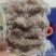 虾爬子。皮皮虾