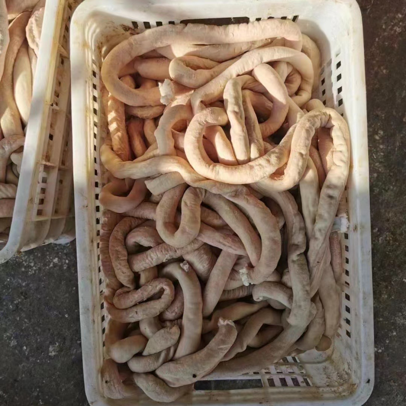 国产纯干牛圆肠