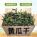 湖南特产黄瓜干黄瓜条片农家干黄瓜条脱水蔬菜黄瓜皮丝干