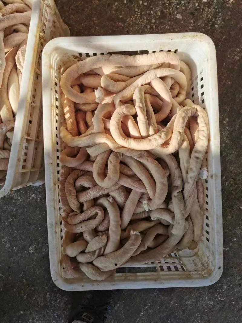 国产纯干牛圆肠