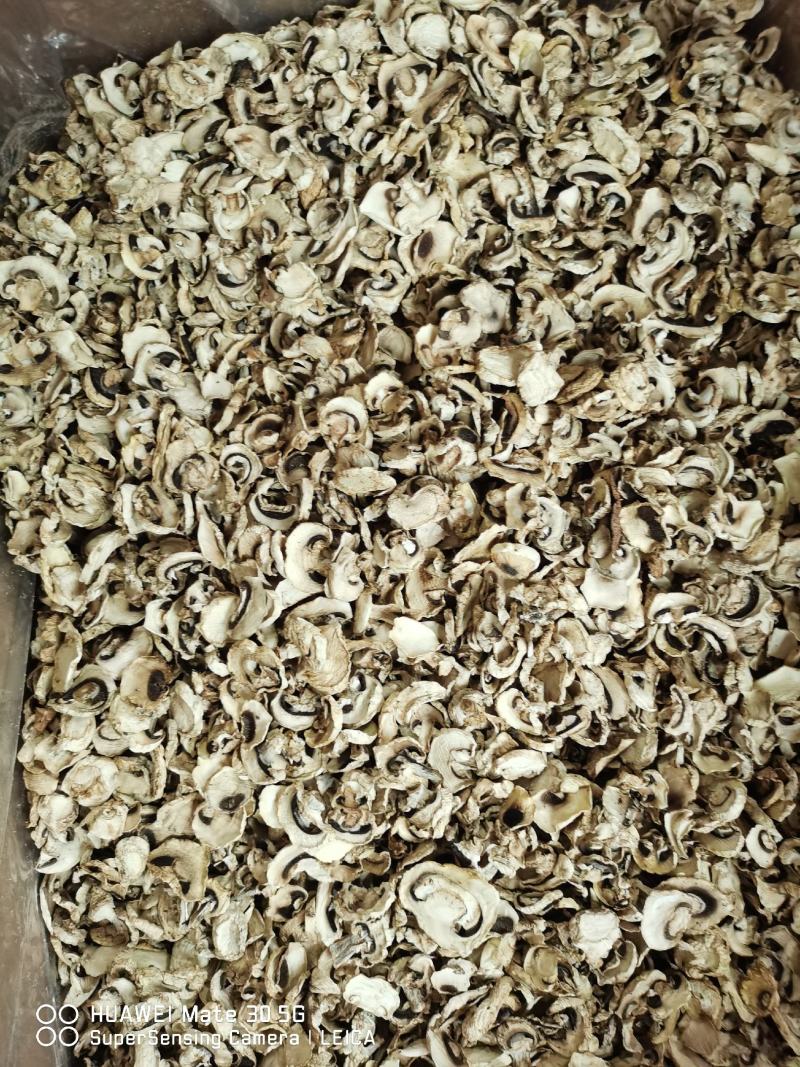 双孢菇干片