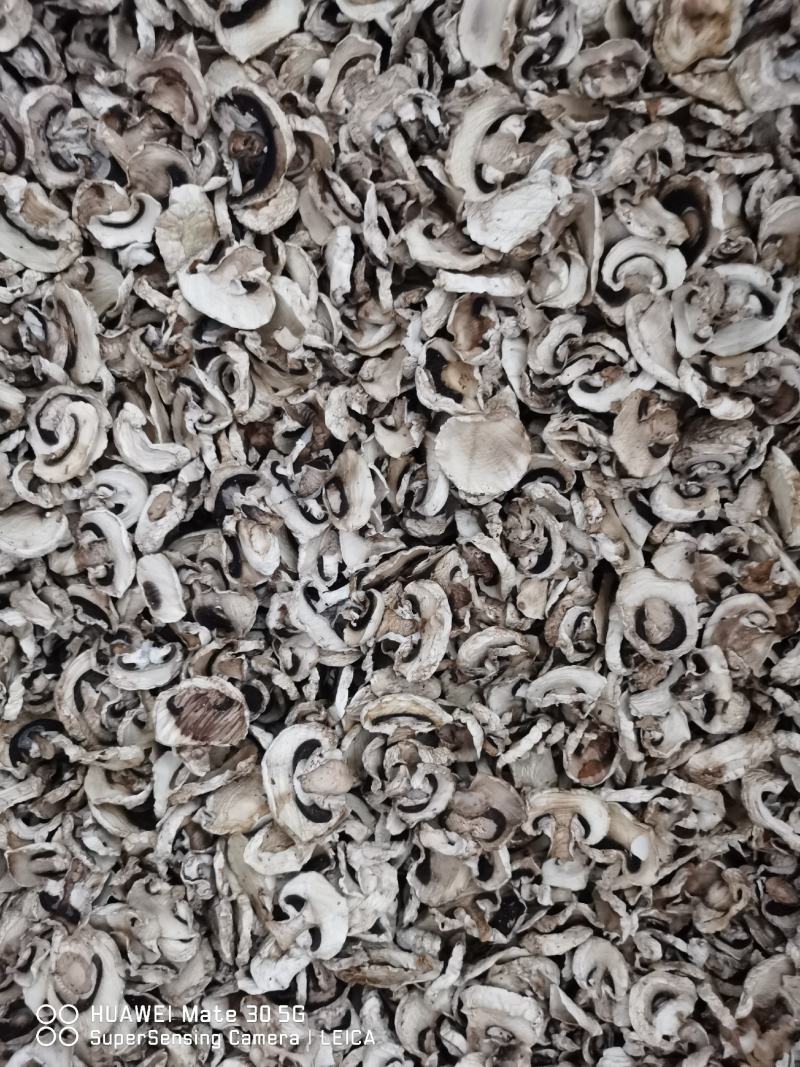 双孢菇干片