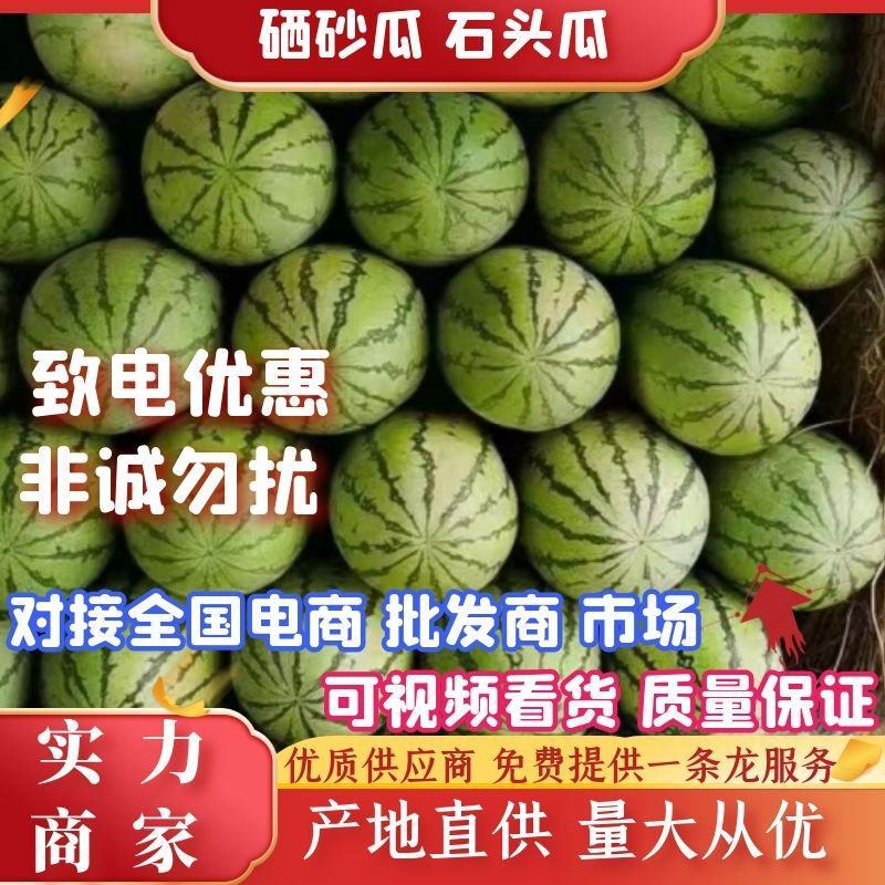 甘肃硒砂瓜石头西瓜大量上市，对接各大平台，市场